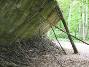 Ruine von der "Wolfsschanze"